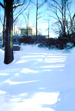 Photo taken of the snow covered driveway up to the Rosedale House